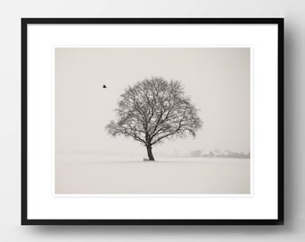 Art photography "WINTER DAY" - photo print or canvas print, different sizes