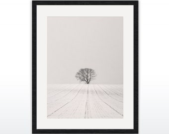 Art photography "WHITE DESERT II" - photo print unframed or canvas print, various sizes