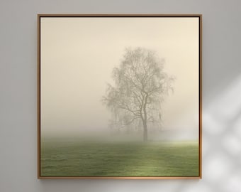 Art photography "BIRCH IN FOG" - photo print unframed or canvas print, various sizes