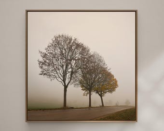Fog landscape photography | quiet street with trees | minimalist nature wall art | AUTUMN