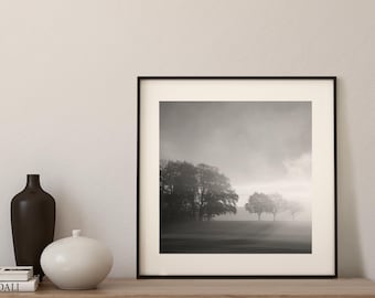 Art photography | Minimalist winter landscape | Black and white photographic art | Serene wall art | Morning Light