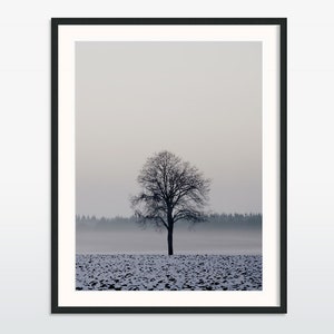 Art photography "WINTER TREE" - photo print unframed or canvas print, various sizes
