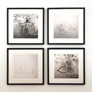 Set of 4 art photographs - free selection, aesthetic photo art, gallery wall decoration, combination, photo prints unframed, various sizes