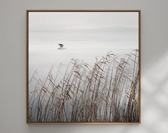 Minimalist nature photography | Bird in flight over lake & reeds | Zen nature wall art | FLYING BIRD