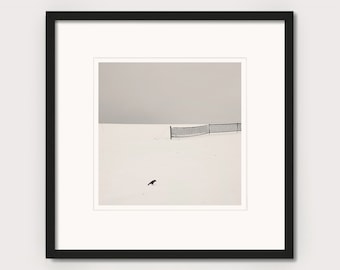 Winter minimalist landscape | Black and white photography | Poetic wall art | THE BIRD