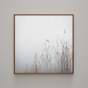 Art photography GREY JANUARY photo print unframed or canvas print, various sizes image 1