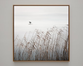 Kunstfotografie " FLYING BIRD" - Fotoabzug ungerahmt oder Leinwanddruck, verschiedene Größen