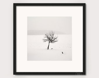 Art photography "QUIETNESS" - photo print unframed or canvas print, various sizes