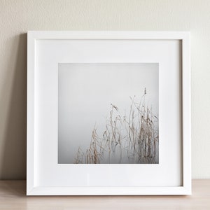 Art photography GREY JANUARY photo print unframed or canvas print, various sizes image 6