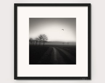 Art photography "COUNTRY LANE" - photo print unframed or canvas print, various sizes