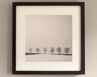 Tree Line Black and White Photography | Minimalist Graphic Landscape | Tranquil Nature Wall Art | TREE LINE