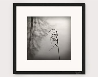 Art photography "IN THE WIND" - unframed photo print or canvas print, various sizes