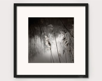 ZEN Fotografie "RELAXING NIGHTTIME" - Fotoabzug ungerahmt oder Leinwand Druck, verschiedene Größen