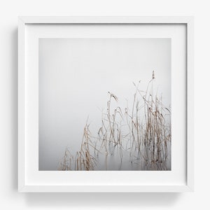 Art photography GREY JANUARY photo print unframed or canvas print, various sizes image 3