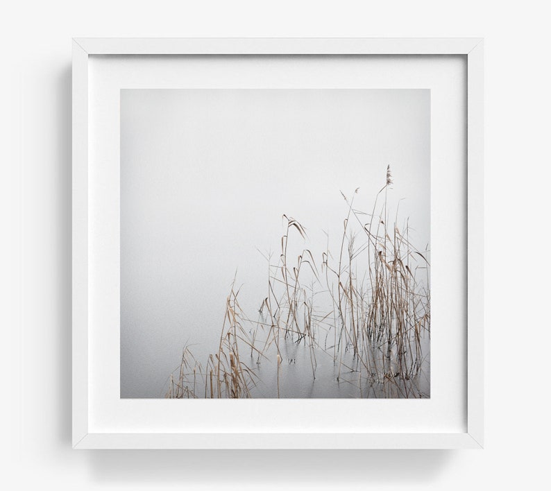 Art photography GREY JANUARY photo print unframed or canvas print, various sizes image 3