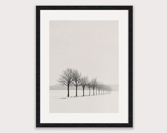 Art Photography - "FOLLOW THE TREES" - Photo print unframed or canvas print, different sizes