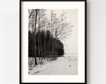 Kunstfotografie "WINTER SKETCHES II" - Fotoabzug ungerahmt oder Leinwand Druck, verschiedene Größen