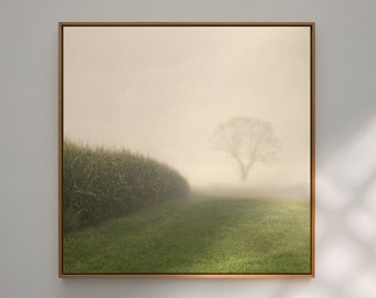 Art photography of an autumn landscape | Cornfield in the fog | Tranquil nature wall art | Fine art print, unframed | CORNFIELD