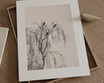 Minimalist black and white nature photography | Zen wall art with birds | BIRD TRIO
