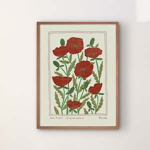Red Poppy Fig. 021 | Vintage Style Flower Poster Print