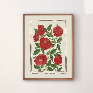 Impresión artística de rosa roja / Póster de flores estilo vintage / Flor de nacimiento de junio / Múltiples tamaños estándar de EE. UU. desde 5x7 hasta 24x36 pulgadas