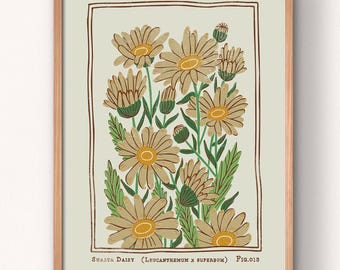 Shasta Daisy Art Print: Vintage Style Floral Botanical Illustration