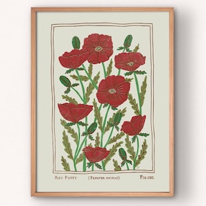 Stampa artistica di papavero rosso / Poster floreale in stile vintage / Fiore di nascita di agosto / Diverse dimensioni standard statunitensi da 5x7 pollici fino a 24x36 pollici