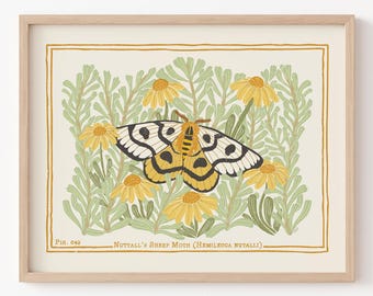 Lámina artística de la polilla de la oveja de Nuttall: póster de entomología de estilo vintage