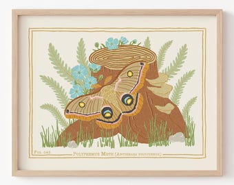 Lámina artística de la polilla Polifemo: Póster vintage de entomología, Forestcore Decor