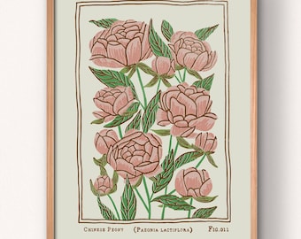 Pink Peony Art Print: Vintage Style November Birth Flower