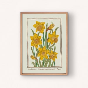 Wild Daffodil Fig. 014 | Vintage Style Flower Poster Print