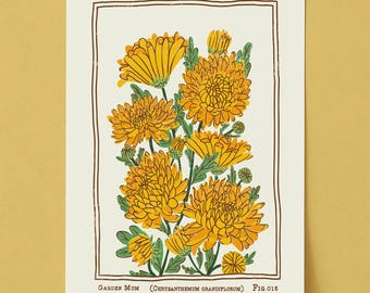 Impresión artística de crisantemos de jardín de estilo vintage: Póster de flores de nacimiento de noviembre