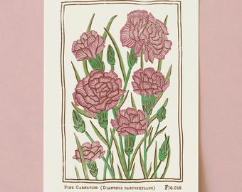 Impresión artística de clavel rosa: póster de flores botánicas de inspiración vintage