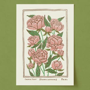 Pink Peony Art Print: Vintage Style November Birth Flower image 1