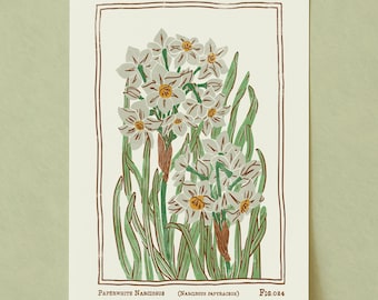 Impresión artística vintage de Narciso Paperwhite: Flor de nacimiento de diciembre