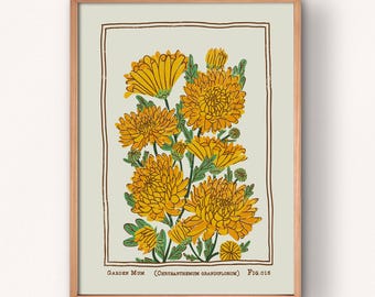 Vintage Style Garden Mums Art Print: November Birth Flower Poster