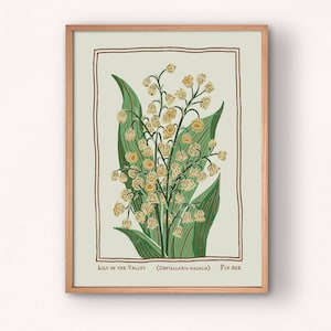 May include: A framed botanical print featuring a stylized illustration of Lily of the Valley flowers with green leaves and cream-colored bell-shaped blossoms. The text reads Lily of the Valley (Convallaria majalis) Fig. 022 within a brown border.
