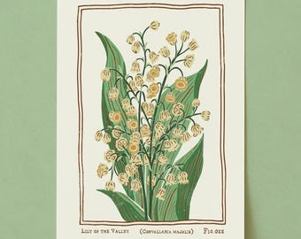 Lámina artística de lirio de los valles: póster botánico vintage, flor de nacimiento de mayo