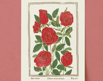 Impresión artística de rosa roja: póster vintage de flores botánicas / Flor de nacimiento de junio