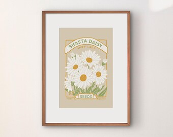 Shasta Daisy Seed Packet Konsttryck: Vintage blommig poster