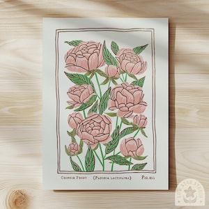 Pink Peony Art Print: Vintage Style November Birth Flower image 7