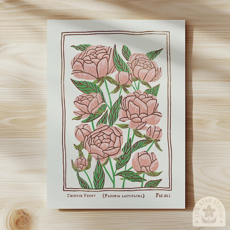 Pink Peony Art Print: Vintage Style November Birth Flower image 7