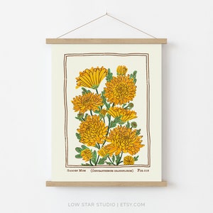 May include: A wall hanging print featuring a botanical illustration of yellow garden mum flowers with green leaves, enclosed in a brown rectangular border. The text reads Garden Mum (Chrysanthemum grandiflorum) Fig.018 at the bottom.