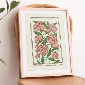 May include: A framed botanical illustration of a Chinese Peony (Paeonia Lactiflora) with pink flowers and green leaves. The illustration is labeled "Chinese Peony (Paeonia Lactiflora) Fig. 011".