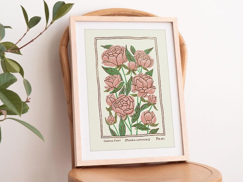 May include: A framed botanical illustration of a Chinese Peony (Paeonia Lactiflora) with pink flowers and green leaves. The illustration is labeled "Chinese Peony (Paeonia Lactiflora) Fig. 011".