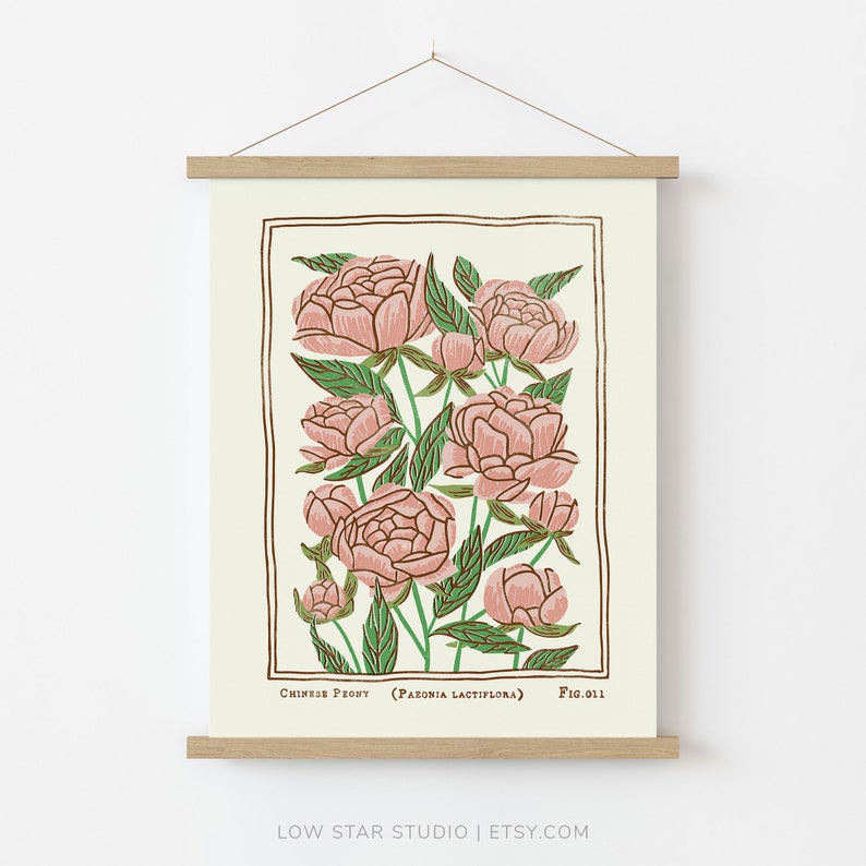 May include: A botanical illustration of a Chinese Peony (Paeonia Lactiflora) with pink flowers and green leaves. The illustration is framed with a black border and has the text "Chinese Peony (Paeonia Lactiflora) Fig. 011" at the bottom.