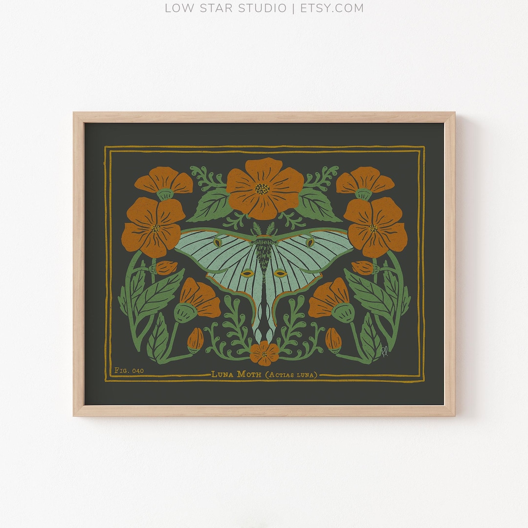 Luna Moth Art Print | Moody Witchy Decor | Entomology Illustration - Etsy
