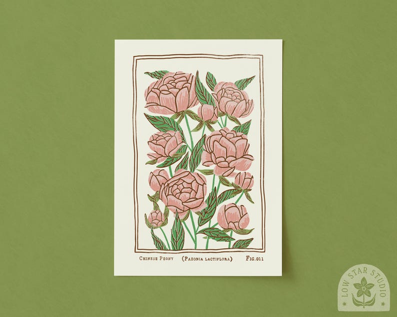 Pink Peony Art Print: Vintage Style November Birth Flower image 1