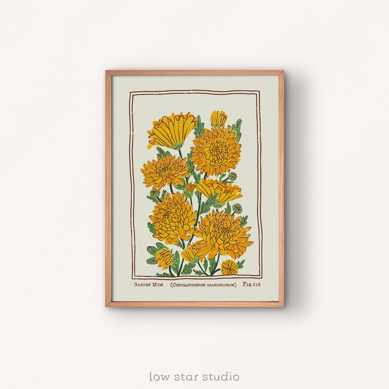 May include: A framed botanical art print featuring vibrant yellow garden mum flowers with green stems and leaves on a light beige background. The print includes a brown border and the text Garden Mum (Chrysanthemum grandiflorum) Fig. 016.