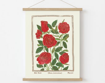 Red Rose Art Print | Vintage Style Flower Poster | June
